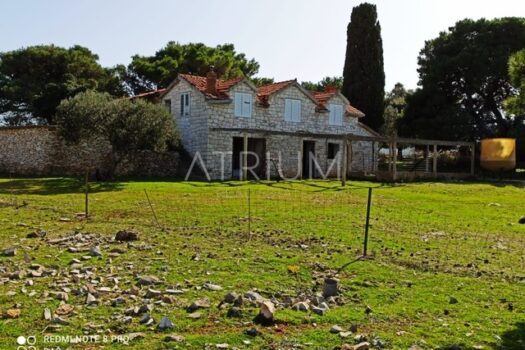 1741011996 f1212871 d494 4074 9a38 8dab0d311cec