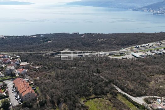 1741600922 dji 20250308122402 0155 d