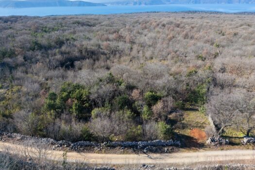 INSEL KRK – Großzügiges Grundstück mit Wald und großem Potenzial 1742148941 otok krk prostrano zemljiste sa sumom i velikim potencijalom 1
