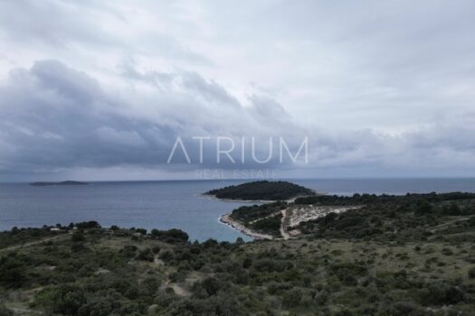 1742723042 6d53f2d4 fbd9 46f1 b3cd 6e1721253775