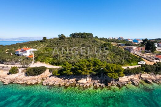 1743178418 splitphotoagency 006