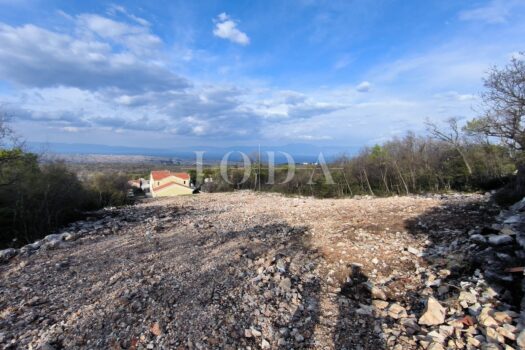 1743597483 img 20250401 090746