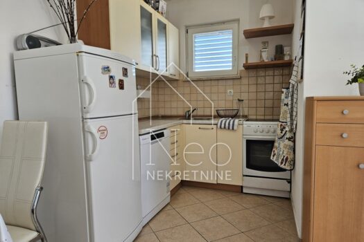 1743605037 00cd9890 da81 4db2 a5f4 8831fc3ef94b