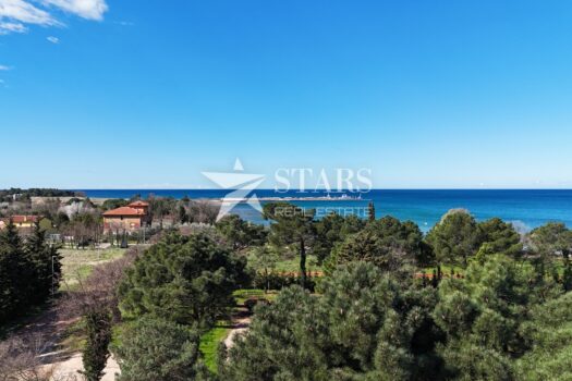 1744187809 dji fly 20250331 105434 0171 1743412058641 photo 1