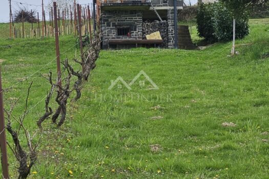 1744200700 20250408 112136