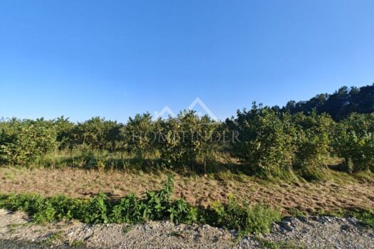 1745001683 gradevinsko zemljiste jos 5 parcela donja greda 571 m2 17000 slika 21292039 1