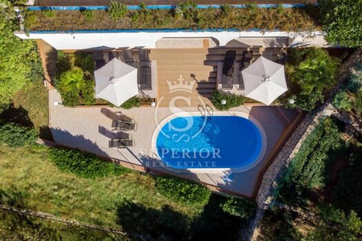 1745162333 504654045