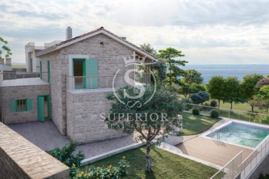 1745167278 photo 2025 03 13 12 23 01