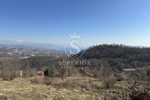 1745844769 img 1138 2