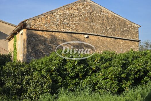 1746018348 20250422 175055