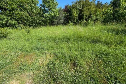 1746190140 1000030358