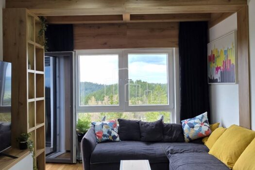 1746267347 1000051081