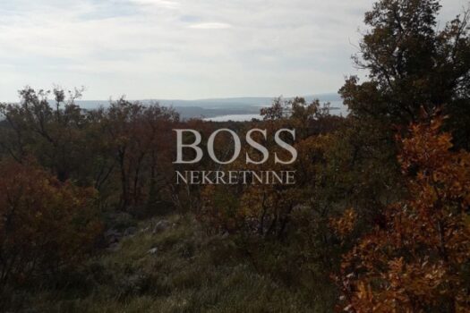 1746621485 8398b657 01d7 4527 a452 94ae9d650fd9