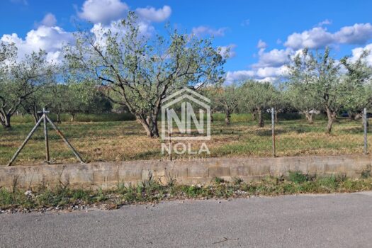 1746782217 whatsapp slika 2025 05 09 u 11