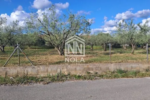 1746782217 whatsapp slika 2025 05 09 u 11