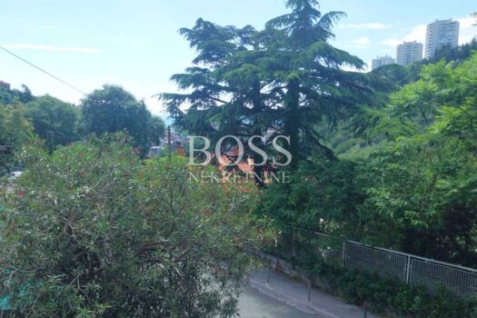 1747222797 img a6ff7afbf098bde3954509e65af4b53d v