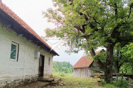 Slunj – Ruhe, Natur und Freiheit – Ihre Oase abseits der Massen! 1747651700 img 20240516 190230