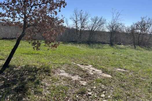 1747732107 gradevinsko zemljiste smoljanci 897 m2 slika 244984484