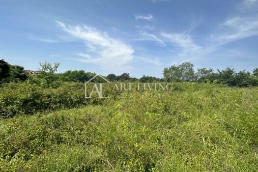 1747735877 img 3831 1