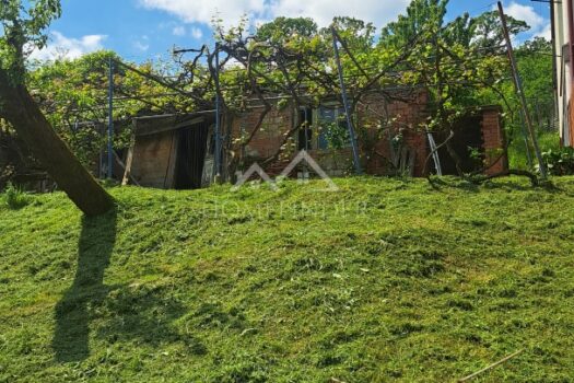 1747740554 20250430 131438 2