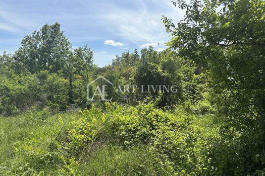 1748254021 image00012