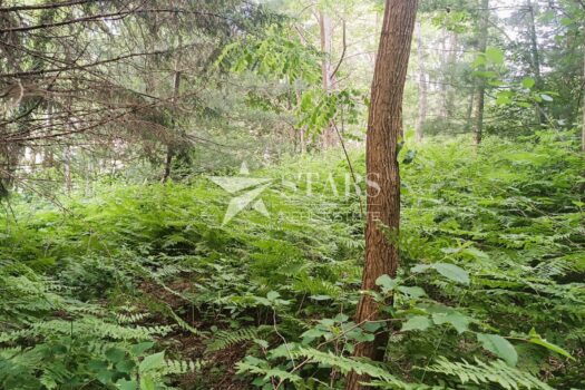 1748258312 img 20250522 190640