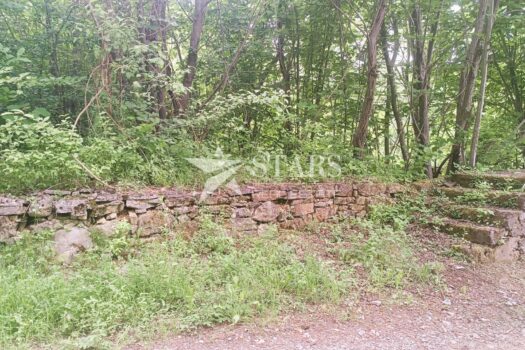 1748288648 img 20250526 182852