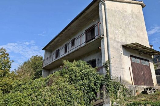 1748678852 1000033867