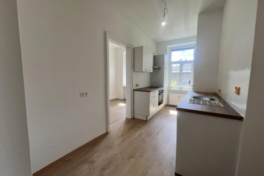 Provisionsfrei - 3 Zimmer Eigentumswohnung neu saniert und vermietet als Anlage + Kellereinheit und Lager im Bezirk Lend 20240523_133207437_iOS