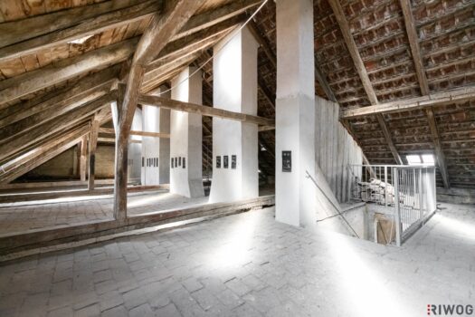 18vdBdjO0elLAZlS1enrT3