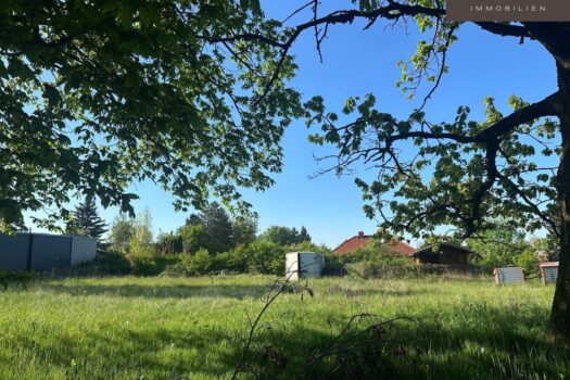 191SHKJyI2l6v1B0W3RAxc 2