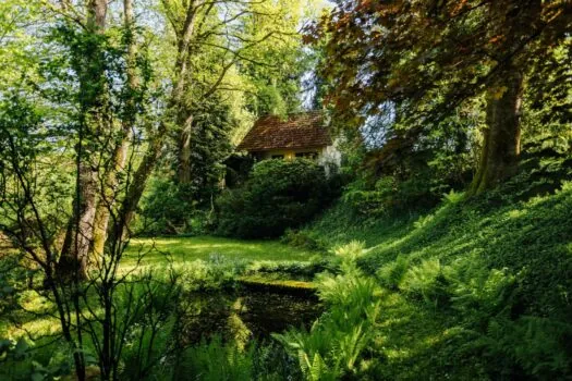 Garten 02
