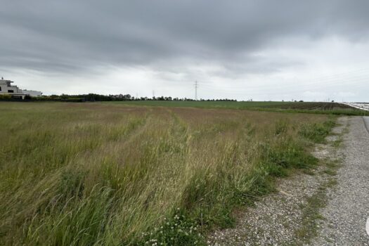 1oouuqQ1XSL7HLACwMaP45 3