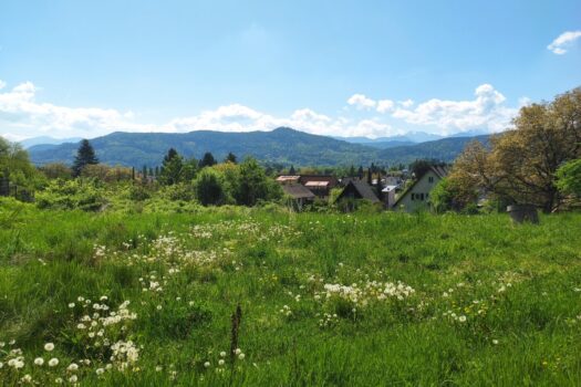 1yGhAJ4cATGRQDjVUHLALc