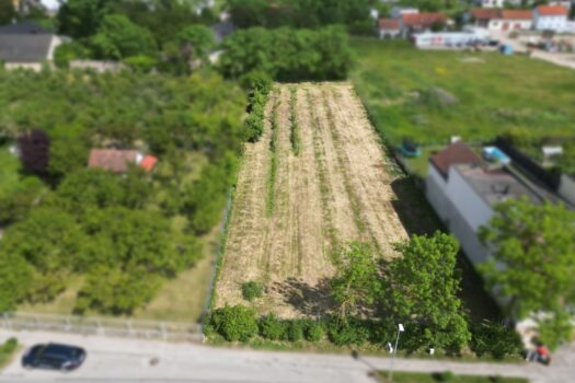 Attrakives Baugrundstück in Krems-Gneixendorf 2J6c69P8W5va7SRjKqXkIe