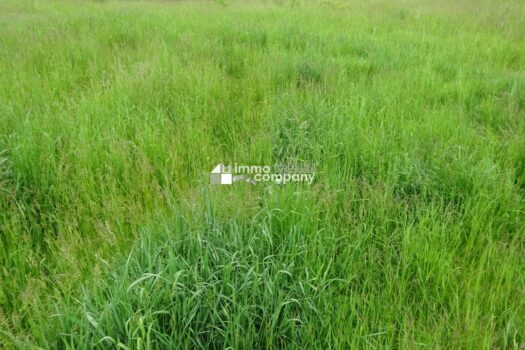 2gCqwi5OIfvuY7DqfzJMOF