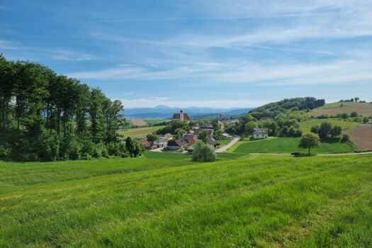 Geroldinger Panoramafeld