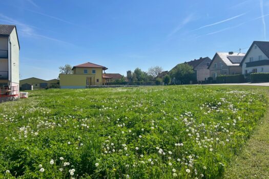 Traumhaftes Grundstück in Ansfelden: 935m² für 359.000 € – Ihr Bauplatz wartet! 3G2wGRDFsm8irMKCAGINj0