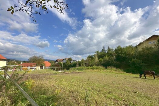 3wG335GISsjvVLtVam7Wjf