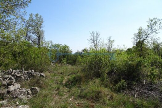 50 10432 x9jvxukt1 1920x0