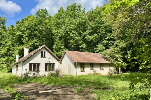 5BMeZgWm02eID9QQFSpvf0