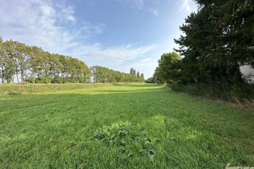 5VDgpRvLCJCPZg0kpxBnqi