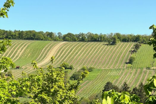 5fOBhHsQq7k4U0lFwRQk3n