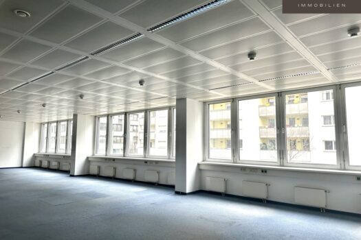 5hHzW5ck5yL34s1o1U3Ufk