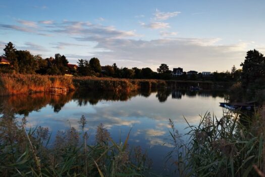 6EnmBoFeCPhNOR6YtwRSpZ