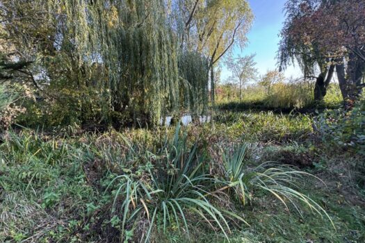 Tolles Grundstück in Biedermannsdorf 7sHqKztqv5wE4DC9mLHzkg