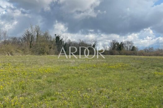 1619534597 whatsapp image 2021 04 27 at 4