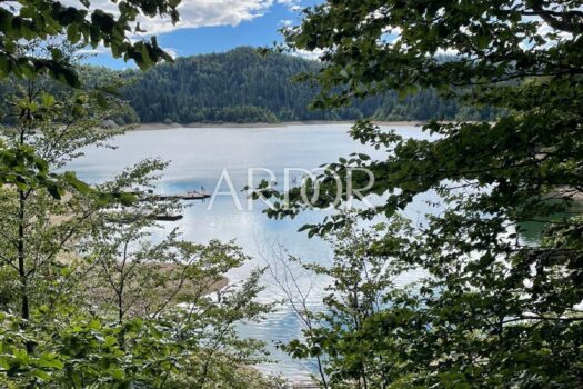 1661155761 whatsapp image 2022 08 22 at 09