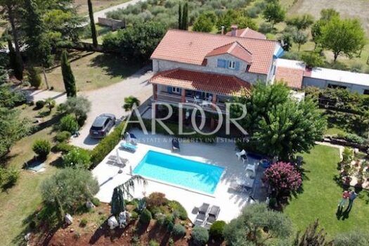 1676030713 image 6834