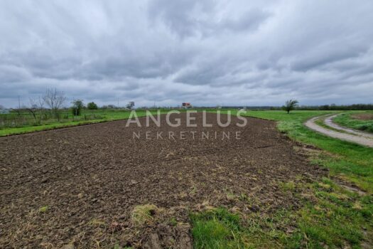 1681896169 20230418 124522